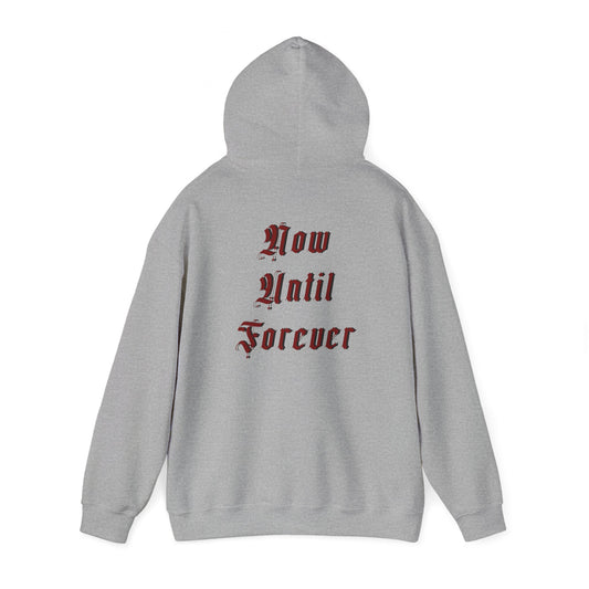 Men's Hoody - Now Until Forever