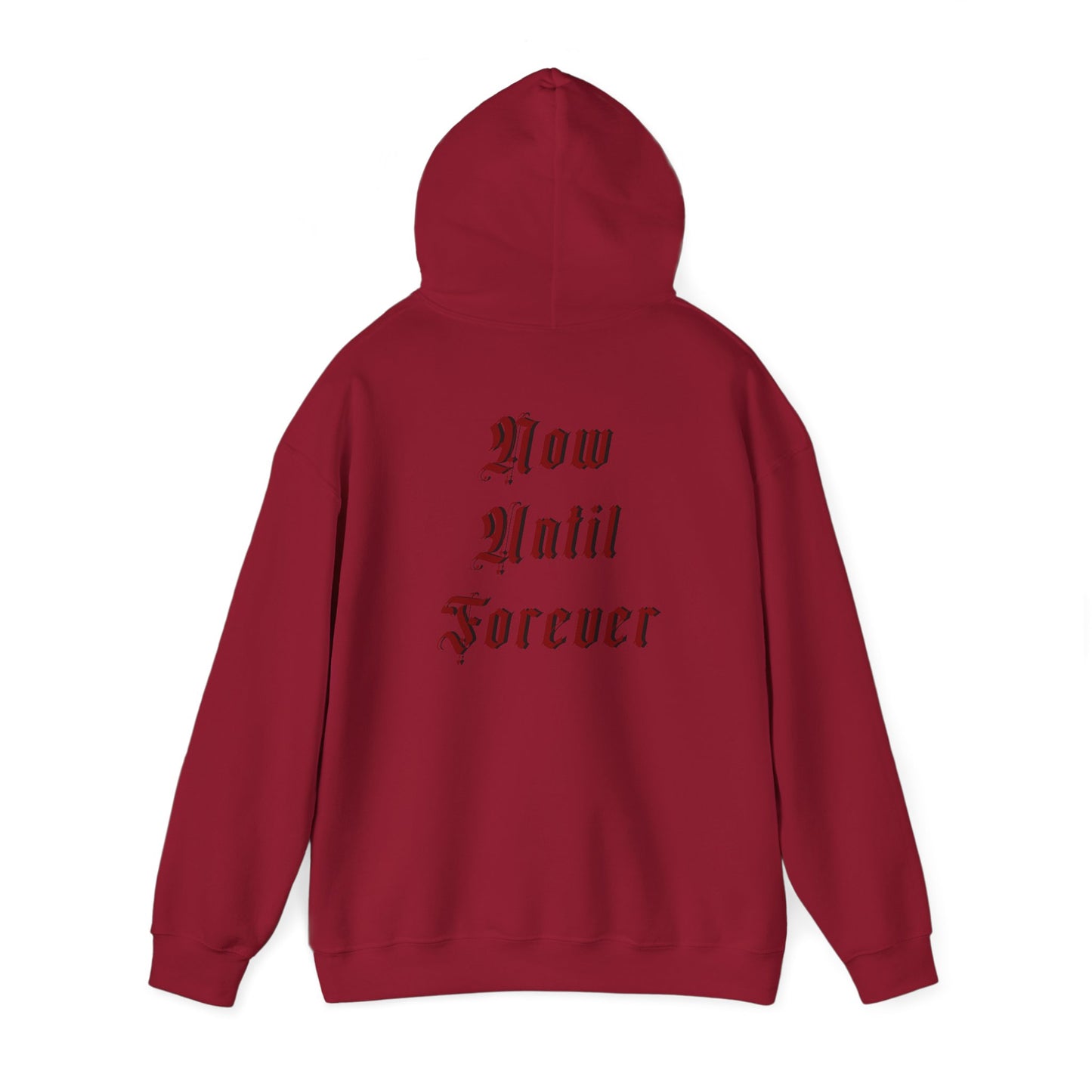 Men's Hoody - Now Until Forever