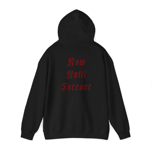 Men's Hoody - Now Until Forever